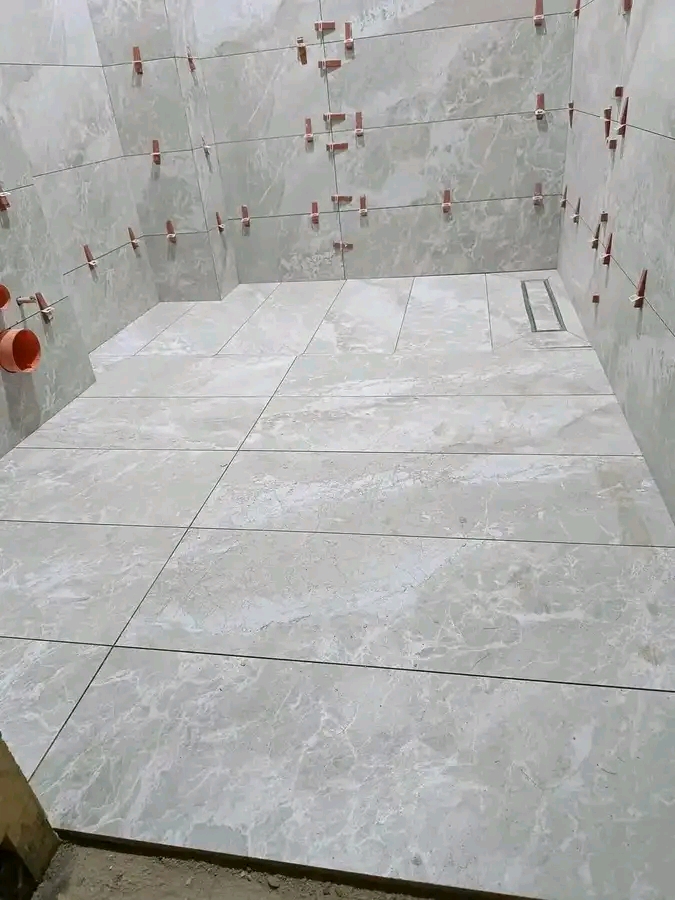 Plumbing and Painting Work